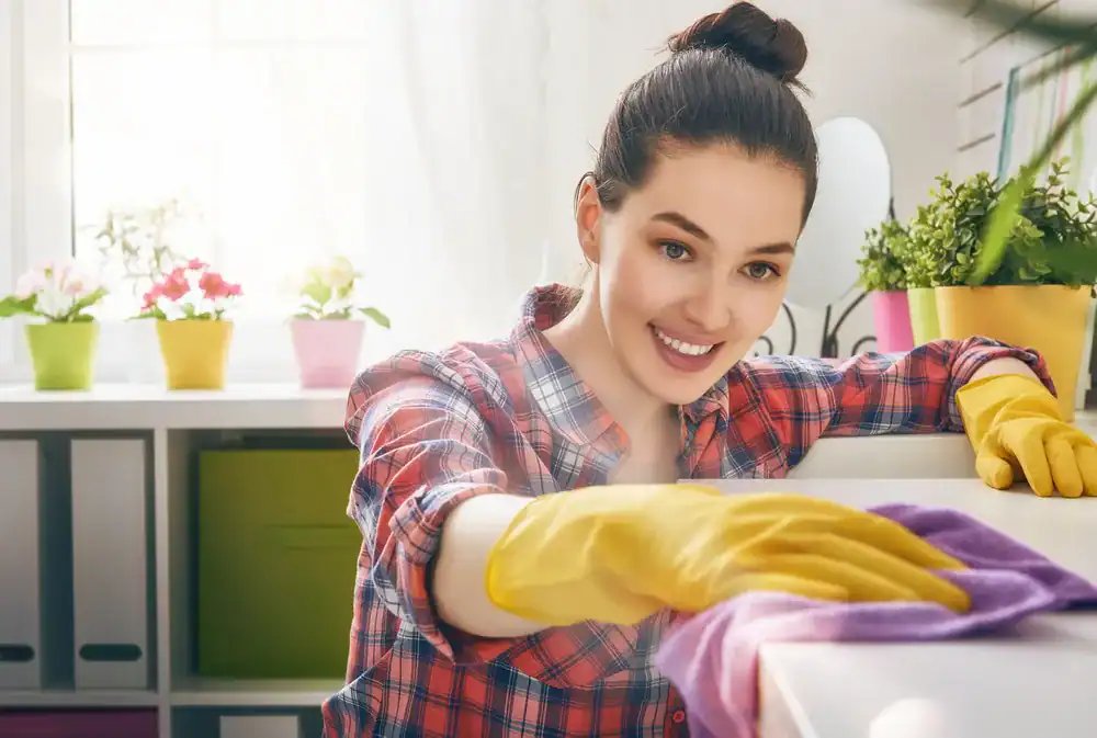 Placemat cleaning