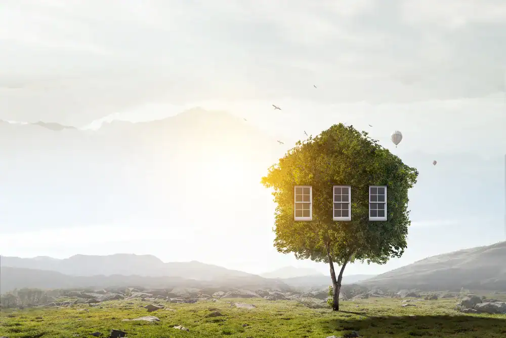 Buying A Property