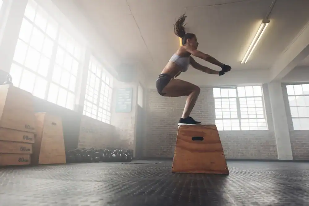 AI Workout Plans