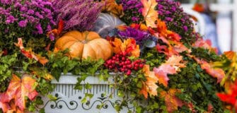 uses for pumpkin