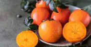 persimmon