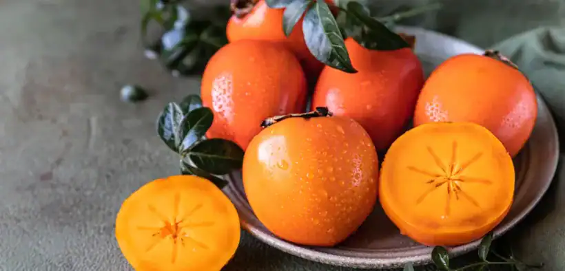 persimmon
