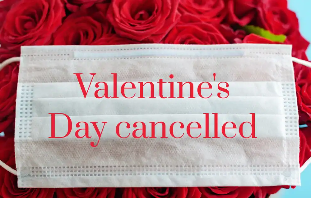 Valentine's Day Cancelled