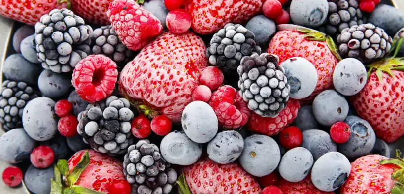 selling frozen food online
