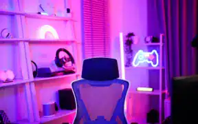 Gaming Accessories
