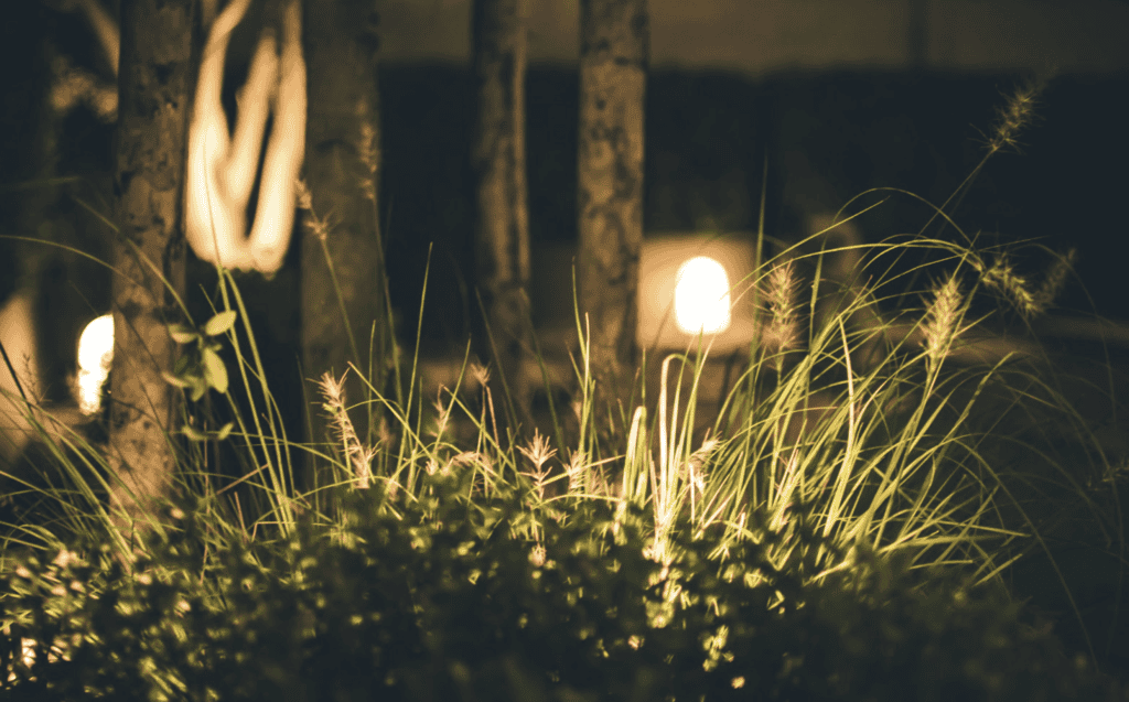 how to create an expensive garden aesthetic