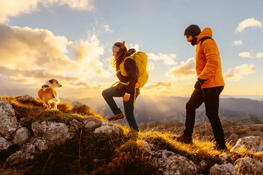 Scenic dog walks UK