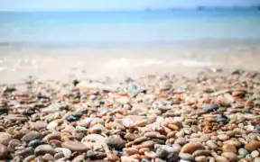 is it illegal to take shells from beaches UK