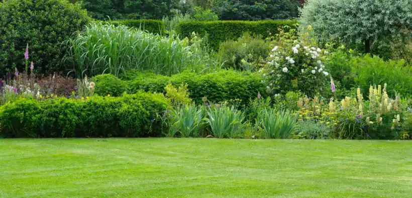 garden mistakes