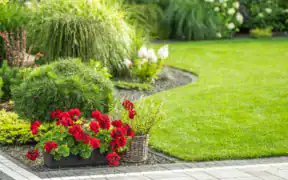 how much value does a garden add
