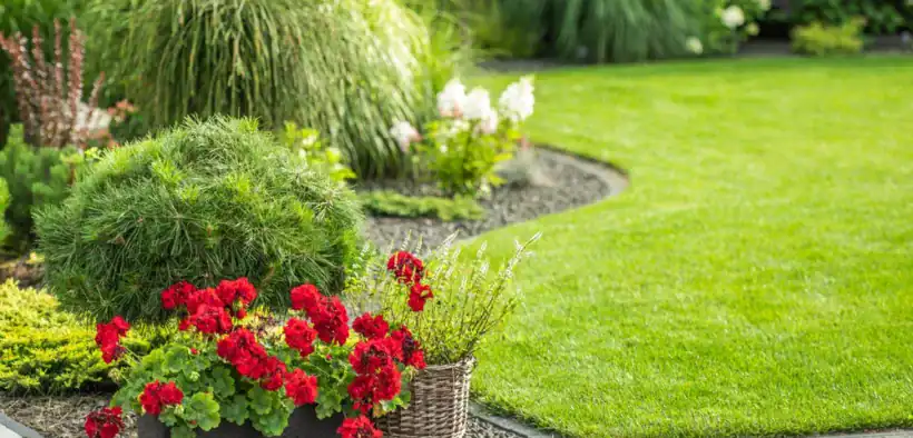 how much value does a garden add