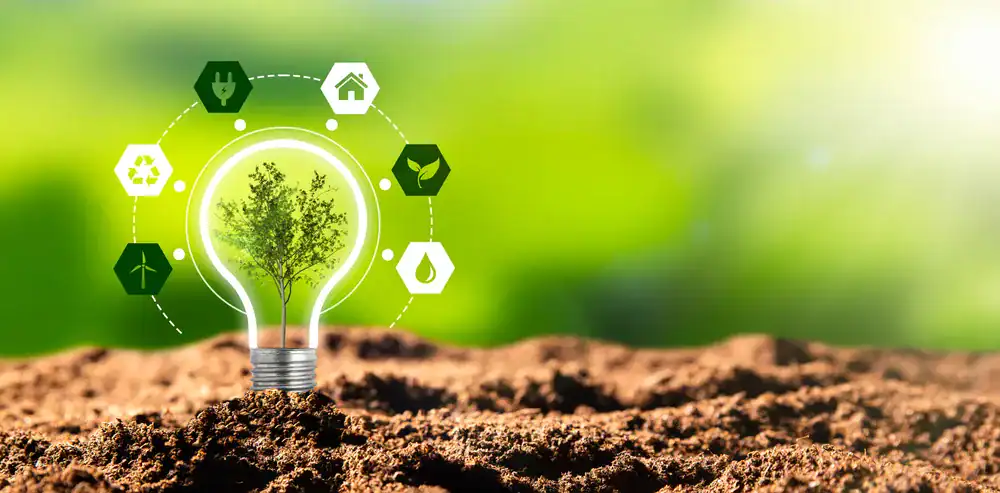 reduce business environmental impact
