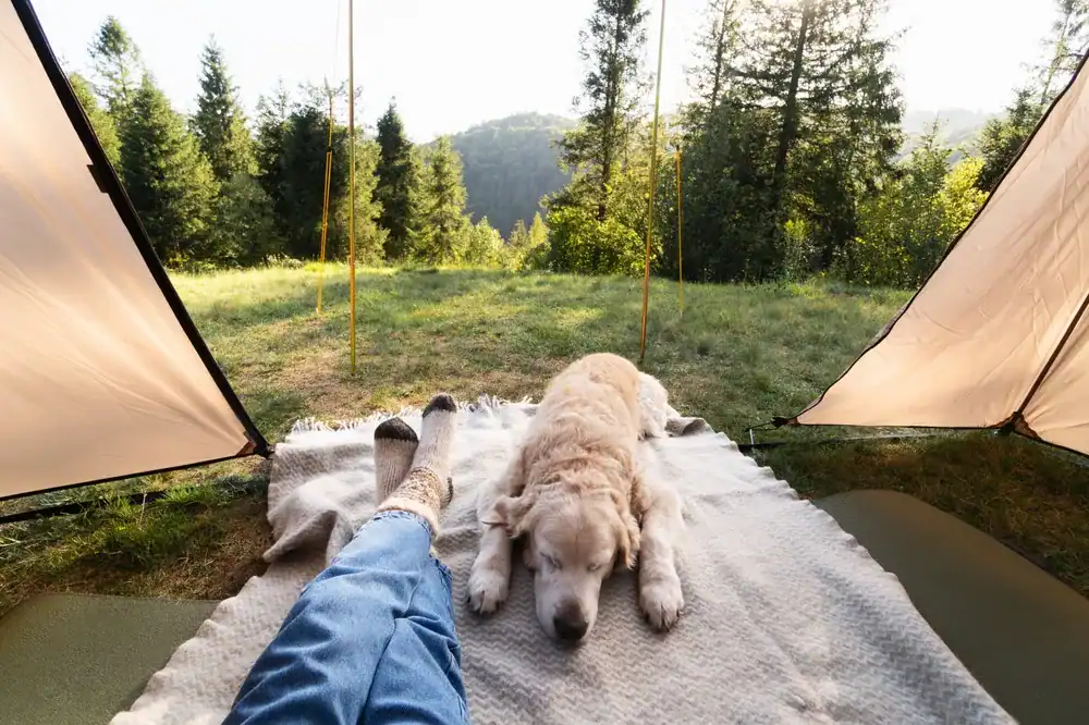 screen-free summer activities