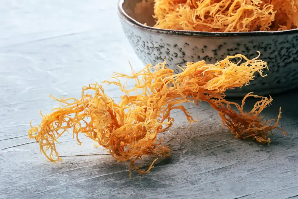 autumn superfood gut health