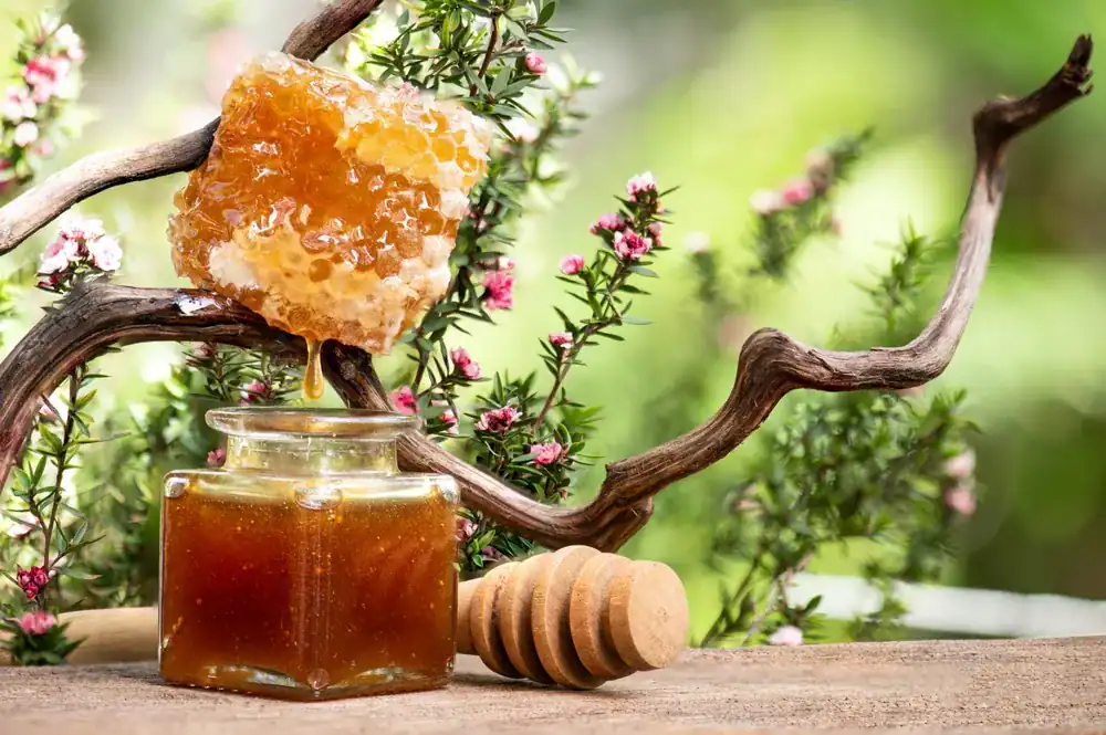 Mānuka honey skincare