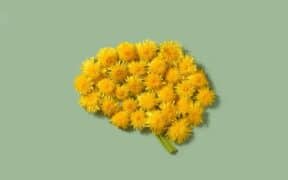 Mental Health in the UK